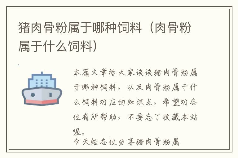 豬肉骨粉屬于哪種飼料(肉骨粉屬于什么飼料)