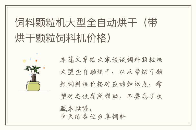 飼料顆粒機(jī)大型全自動(dòng)烘干（帶烘干顆粒飼料機(jī)價(jià)格）