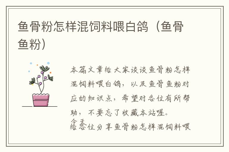 魚骨粉怎樣混飼料喂白鴿（魚骨魚粉）