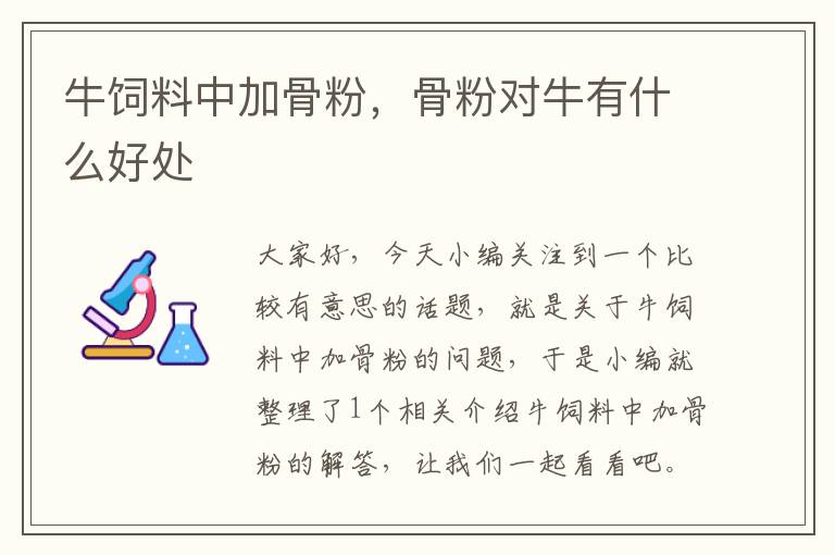 牛飼料中加骨粉，骨粉對牛有什么好處