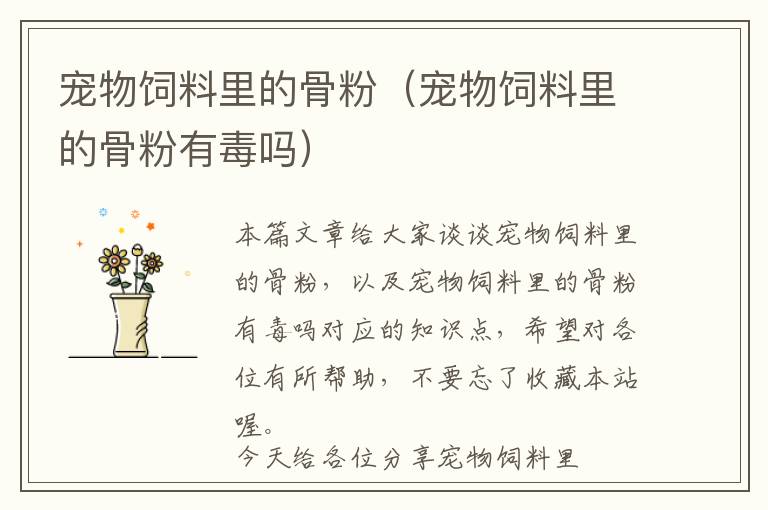 寵物飼料里的骨粉(寵物飼料里的骨粉有毒嗎)