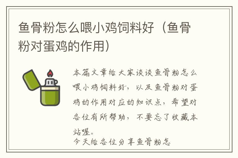魚骨粉怎么喂小雞飼料好（魚骨粉對(duì)蛋雞的作用）