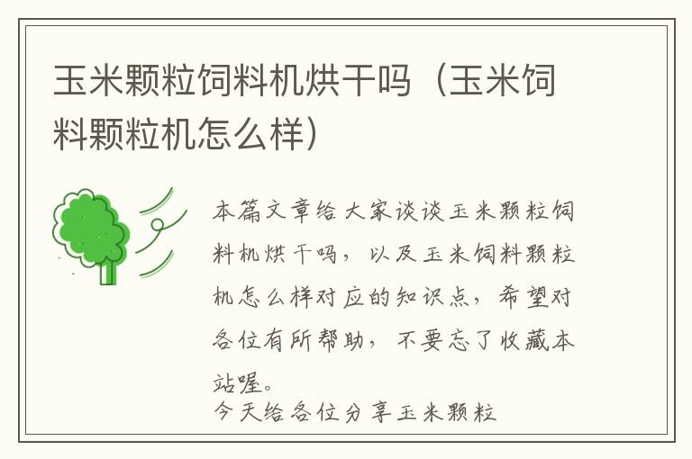 玉米顆粒飼料機烘干嗎(玉米飼料顆粒機怎么樣)