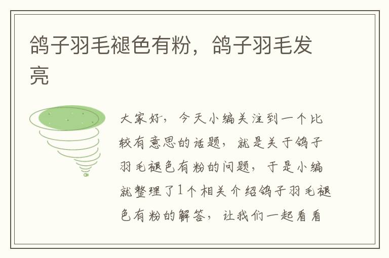 鴿子羽毛褪色有粉,鴿子羽毛發(fā)亮