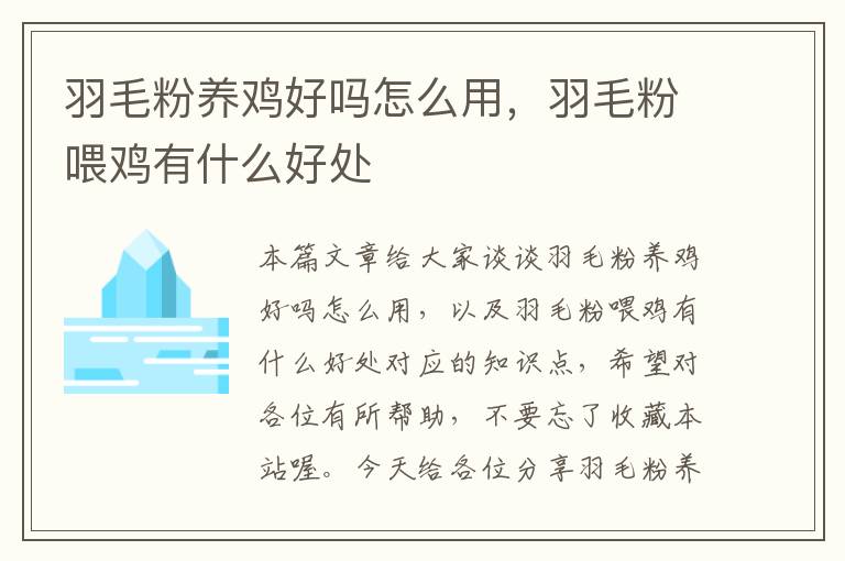 羽毛粉養(yǎng)雞好嗎怎么用,羽毛粉喂雞有什么好處
