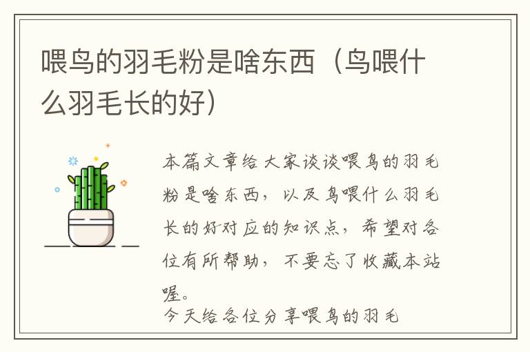 喂鳥的羽毛粉是啥東西（鳥喂什么羽毛長(zhǎng)的好）