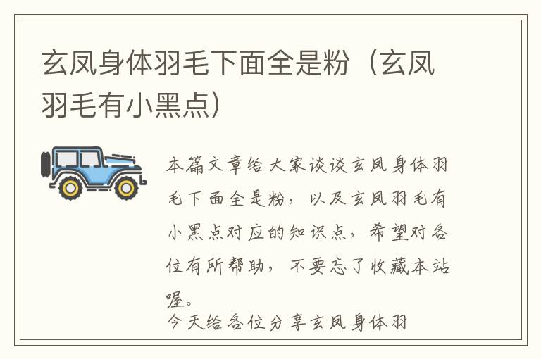 玄鳳身體羽毛下面全是粉（玄鳳羽毛有小黑點(diǎn)）
