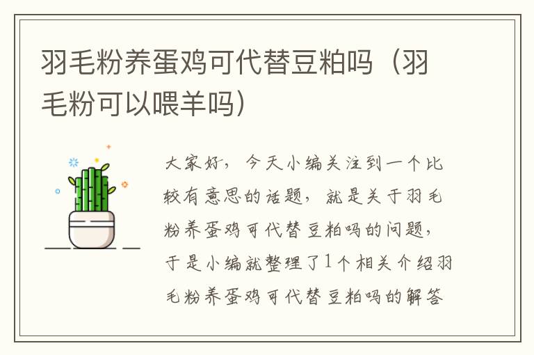 羽毛粉養(yǎng)蛋雞可代替豆粕嗎(羽毛粉可以喂羊嗎)