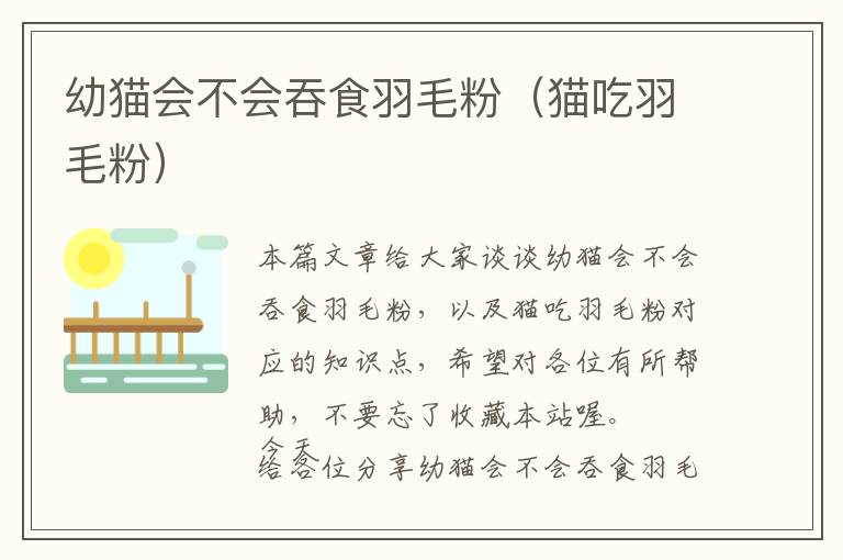 幼貓會不會吞食羽毛粉（貓吃羽毛粉）