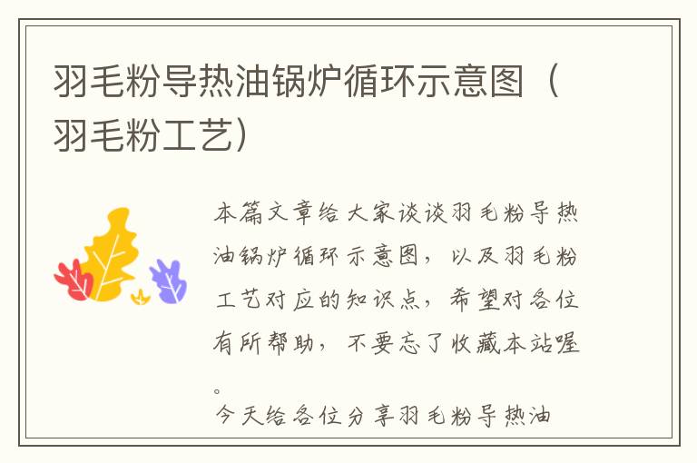 羽毛粉導(dǎo)熱油鍋爐循環(huán)示意圖(羽毛粉工藝)