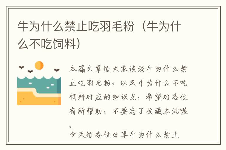 牛為什么禁止吃羽毛粉(牛為什么不吃飼料)