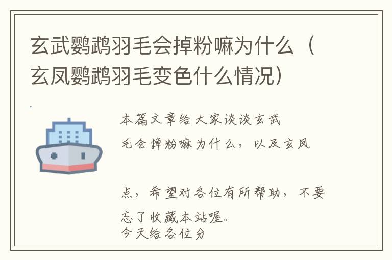 玄武鸚鵡羽毛會(huì)掉粉嘛為什么（玄鳳鸚鵡羽毛變色什么情況）