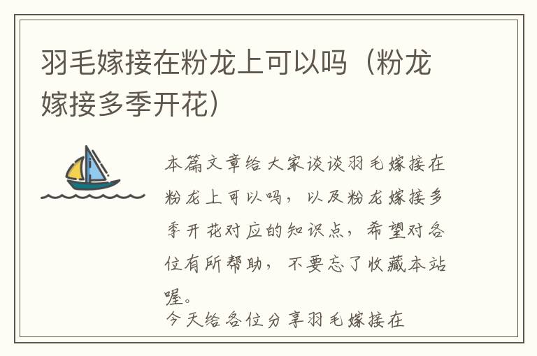 羽毛嫁接在粉龍上可以嗎（粉龍嫁接多季開花）