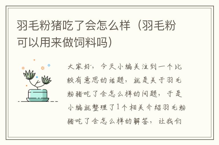 羽毛粉豬吃了會(huì)怎么樣(羽毛粉可以用來做飼料嗎)