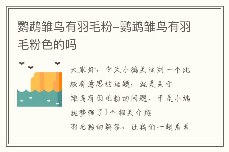 鸚鵡雛鳥(niǎo)有羽毛粉-鸚鵡雛鳥(niǎo)有羽毛粉色的嗎