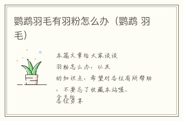 鸚鵡羽毛有羽粉怎么辦(鸚鵡 羽毛)