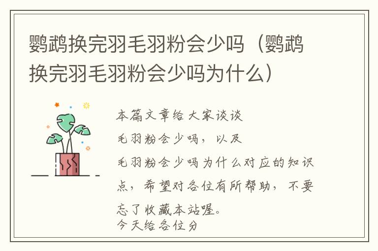 鸚鵡換完羽毛羽粉會少嗎（鸚鵡換完羽毛羽粉會少嗎為什么）
