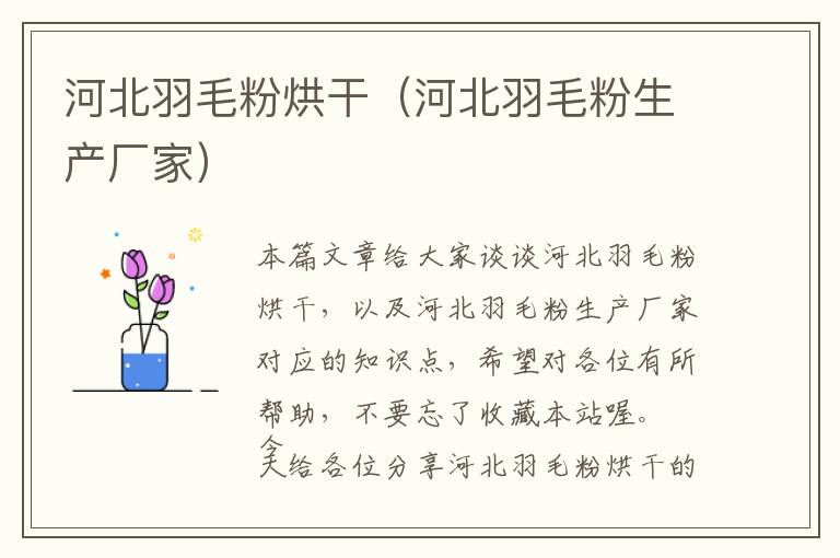 河北羽毛粉烘干(河北羽毛粉生產(chǎn)廠家)