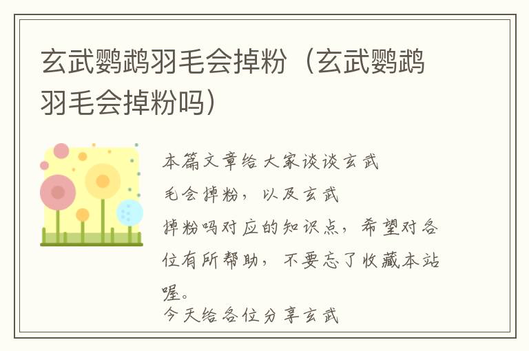 玄武鸚鵡羽毛會(huì)掉粉（玄武鸚鵡羽毛會(huì)掉粉嗎）