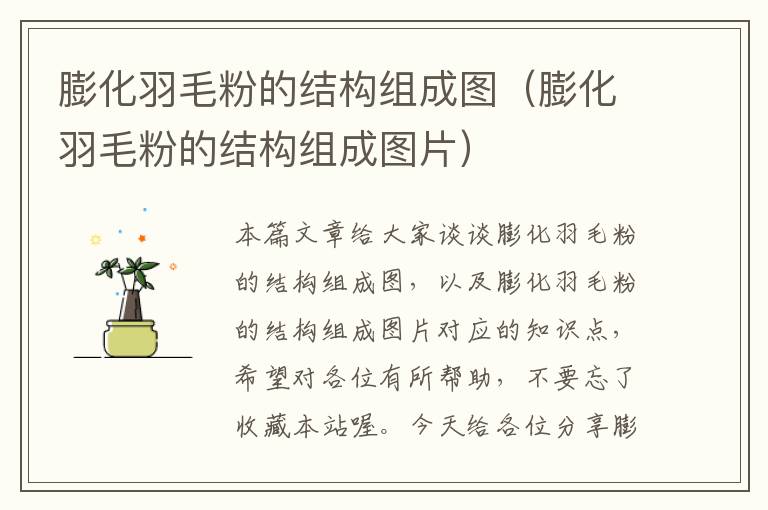 膨化羽毛粉的結(jié)構(gòu)組成圖(膨化羽毛粉的結(jié)構(gòu)組成圖片)