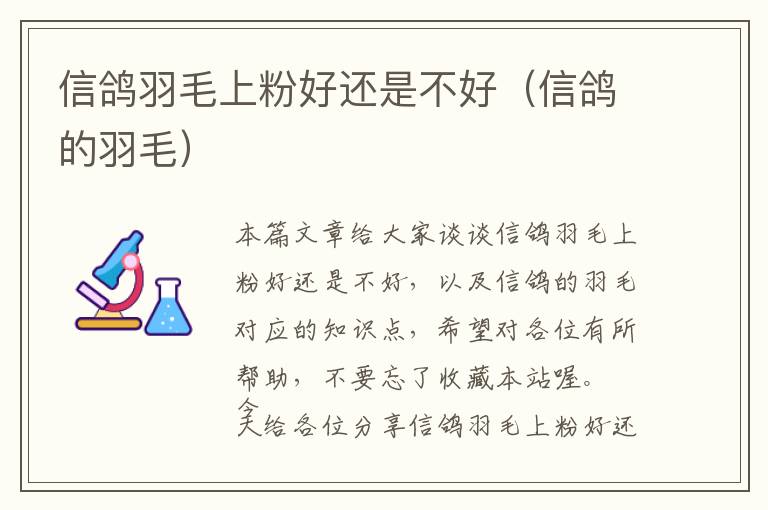 信鴿羽毛上粉好還是不好(信鴿的羽毛)