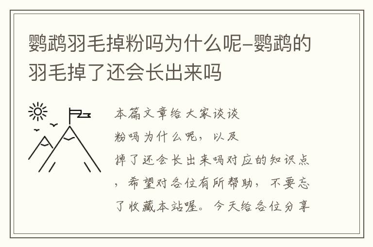 鸚鵡羽毛掉粉嗎為什么呢-鸚鵡的羽毛掉了還會長出來嗎