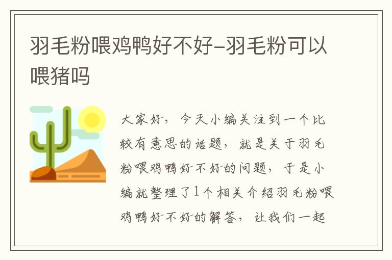 羽毛粉喂雞鴨好不好-羽毛粉可以喂豬嗎