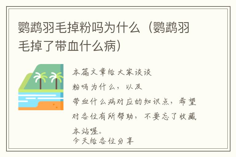 鸚鵡羽毛掉粉嗎為什么（鸚鵡羽毛掉了帶血什么?。? >
            <p>本篇文章給大家談?wù)匊W鵡羽毛掉粉嗎為什么，以及鸚鵡羽毛掉了帶血什么病對(duì)應(yīng)的知識(shí)點(diǎn)，希望對(duì)各位有所幫助，不要忘了收藏本站喔。
今天給各位分享鸚鵡羽毛掉粉嗎為什么的知識(shí)，其中也會(huì)對(duì)鸚鵡羽毛掉了帶血什么病進(jìn)行解釋?zhuān)绻芘銮山鉀Q你現(xiàn)在面臨的問(wèn)題，別忘了關(guān)注本站，現(xiàn)在開(kāi)始吧！</p><h2>本文目錄一覽：</h2><ul><li style='margin-bottom: 3px;list-style: none'>
1、<a href='#牡丹鸚鵡羽粉要掉多久呢?' title='牡丹鸚鵡羽粉要掉多久呢?'>牡丹鸚鵡羽粉要掉多久呢?</a>
</li>
<li style='margin-bottom: 3px;list-style: none'>
2、<a href='#玄鳳鸚鵡羽毛粉多嗎' title='玄鳳鸚鵡羽毛粉多嗎'>玄鳳鸚鵡羽毛粉多嗎</a>
</li>
<li style='margin-bottom: 3px;list-style: none'>
3、<a href='#鸚鵡毛總是蓬松起來(lái)是怎么回事' title='鸚鵡毛總是蓬松起來(lái)是怎么回事'>鸚鵡毛總是蓬松起來(lái)是怎么回事</a>
</li>
</ul><h2 id='牡丹鸚鵡羽粉要掉多久呢?'>牡丹鸚鵡羽粉要掉多久呢?</h2>
<p>玄鳳鸚鵡是最常見(jiàn)的一種鸚鵡，它們通常比其他鸚鵡更加干凈。由于玄鳳鸚鵡的羽粉相對(duì)較少，所以它們掉落的羽粉也很少，更干凈。此外，虎皮鸚鵡、牡丹鸚鵡、太平洋鸚鵡等小型鸚鵡的羽粉也比較少。</p><p>你說(shuō)的皮屑是不是說(shuō)的羽粉呀，鸚鵡多少都會(huì)有羽粉，大型鸚鵡像是葵花羽粉多，中小型鸚鵡玄鳳鸚鵡羽粉多。其他的種類(lèi)羽粉可以忽略不計(jì)了。所以說(shuō)牡丹鸚鵡是會(huì)掉羽粉，但是不是很多，可以忽略。</p><p>牡丹鸚鵡羽粉多屬于正?，F(xiàn)象**。鸚鵡的體型大小和種類(lèi)的不同會(huì)導(dǎo)致它們身上羽粉的嚴(yán)重程度有差異。無(wú)論是哪種鸚鵡，包括太平洋鸚鵡、秋草鸚鵡等，都可能存在羽粉多的情況。</p><p>牡丹鸚鵡的羽粉較少，這使得它們相對(duì)玄鳳鸚鵡來(lái)說(shuō)更少掉落羽粉，更干凈。 牡丹鸚鵡的抗病能力比玄鳳鸚鵡強(qiáng)，這使得它們更少生病，從而減少了因藥物使用而導(dǎo)致臟亂的情況。</p><p>牡丹鸚鵡羽粉是沒(méi)有危害的因?yàn)橛鸱凼区B(niǎo)類(lèi)保持清潔的一種分泌物，所以沒(méi)有危害。鸚鵡類(lèi)在世界各地都有分布。分布在溫、亞熱、熱帶的廣大地域。種類(lèi)非常繁多，有2科、82屬、358種，是鳥(niǎo)綱最大的科之一。</p><p>牡丹鸚鵡的翅膀上有許多白色頭皮屑一樣的皮屑，這可能是正?，F(xiàn)象，如季節(jié)性或成長(zhǎng)性換羽脫絨。然而，如果同時(shí)伴有啄瘙癢等現(xiàn)象，可能存在羽虱感染的情況。</p><h2 id='玄鳳鸚鵡羽毛粉多嗎'>玄鳳鸚鵡羽毛粉多嗎</h2>
<p>1、玄鳳鸚鵡的羽粉對(duì)健康人一般是沒(méi)有害處的，但是如果身體屬于過(guò)敏體質(zhì)，建議還是不要養(yǎng)玄鳳鸚鵡為好。因?yàn)椋盒P鸚鵡的粉塵是能夠吸入進(jìn)肺的，如果有肺炎的話(huà)，比較容易加重肺炎。</p><p>2、玄鳳羽粉都很多的，和品種無(wú)關(guān)。多洗澡的話(huà)雖然不會(huì)太多但還是有的，洗澡最好一星期一次。</p><p>3、沒(méi)法徹底消除，羽粉是玄鳳保護(hù)羽毛用的也不能讓它一點(diǎn)沒(méi)有。勤打掃，勤換氣，有換氣機(jī)、吸塵器就用，濕布擦不會(huì)冒煙。 籠子外可以加裝亞力克板，或者直接購(gòu)買(mǎi)能防塵的籠子（很貴哦）。</p><h2 id='鸚鵡毛總是蓬松起來(lái)是怎么回事'>鸚鵡毛總是蓬松起來(lái)是怎么回事</h2>
<p>1、鸚鵡把羽毛膨起來(lái)多數(shù)是這五個(gè)原因：為了保暖、想要洗澡、整理自己的羽毛、舒服興奮或者正試圖炫耀著什么、生病了。</p><p>2、當(dāng)鸚鵡感到興奮、緊張或害怕時(shí)，它的身體會(huì)釋放一種叫做腎上腺素的激素。這種激素會(huì)導(dǎo)致鸚鵡的羽毛根部的小肌肉收縮，使得羽毛蓬松起來(lái)。其次，鸚鵡的羽毛上有一層細(xì)小的粉末狀物質(zhì)，叫做羽粉。</p><p>3、鸚鵡毛發(fā)蓬松的情況可能是因?yàn)橐韵略蛑唬荷碓颍蝴W鵡毛蓬松一般是因?yàn)樗鼈冋谶M(jìn)行羽毛換羽過(guò)程，此時(shí)新長(zhǎng)出的羽毛會(huì)比原來(lái)的羽毛更加柔軟，而且還沒(méi)有形成完整的翅膀，所以看上去蓬松。</p><p>4、鸚鵡的羽毛總是蓬松起來(lái)，可能是因?yàn)辂W鵡一直處于精神比較放松的狀態(tài)，這個(gè)現(xiàn)象說(shuō)明鸚鵡的情緒狀態(tài)良好，心理和身體都比較健康，主人可以放心飼喂，不需要過(guò)多的擔(dān)心。</p><p>關(guān)于鸚鵡羽毛掉粉嗎為什么和鸚鵡羽毛掉了帶血什么病的介紹到此就結(jié)束了，不知道你從中找到你需要的信息了嗎 ？如果你還想了解更多這方面的信息，記得收藏關(guān)注本站。
鸚鵡羽毛掉粉嗎為什么的介紹就聊到這里吧，感謝你花時(shí)間閱讀本站內(nèi)容，更多關(guān)于鸚鵡羽毛掉了帶血什么病、鸚鵡羽毛掉粉嗎為什么的信息別忘了在本站進(jìn)行查找喔。</p>            <div   id=