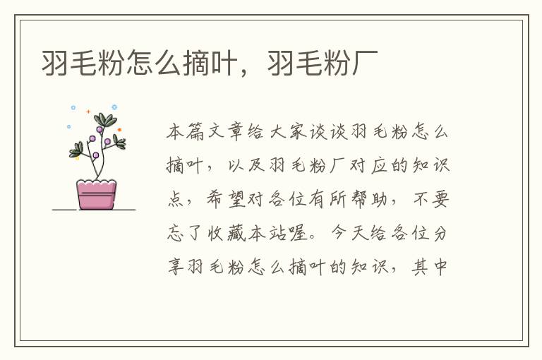 羽毛粉怎么摘葉，羽毛粉廠