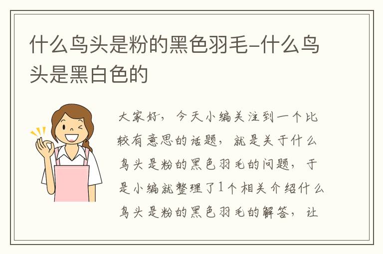 什么鳥(niǎo)頭是粉的黑色羽毛-什么鳥(niǎo)頭是黑白色的