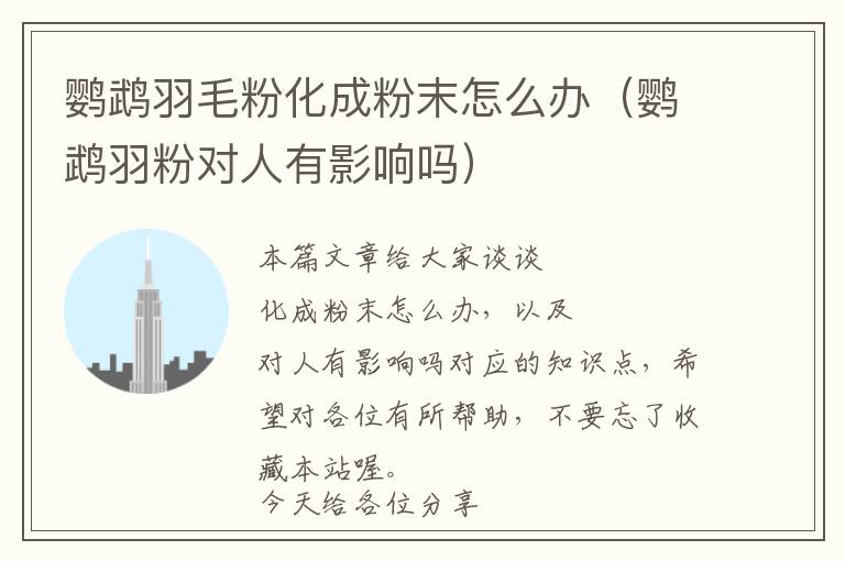 鸚鵡羽毛粉化成粉末怎么辦（鸚鵡羽粉對(duì)人有影響嗎）