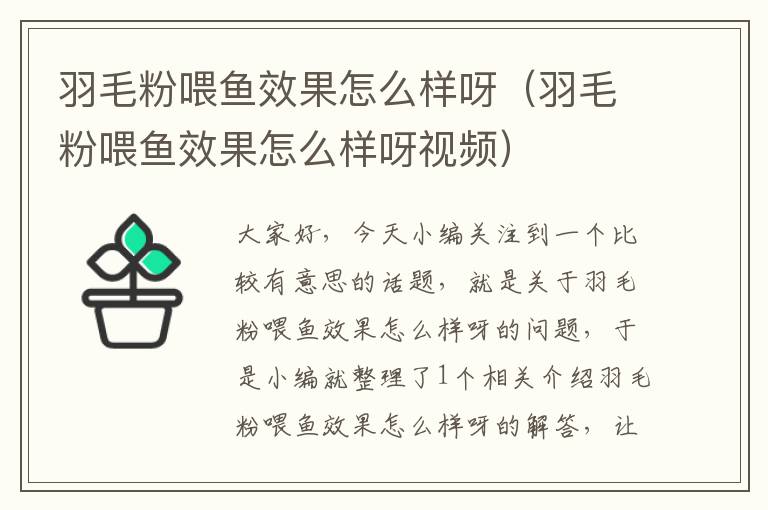 羽毛粉喂魚效果怎么樣呀(羽毛粉喂魚效果怎么樣呀視頻)