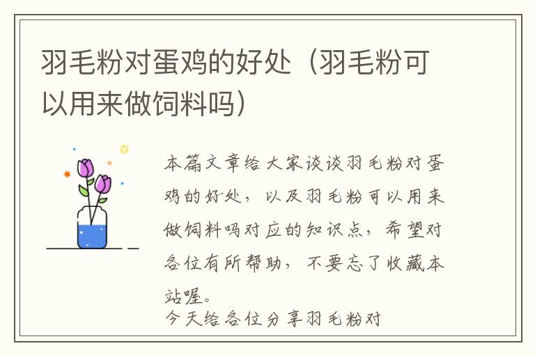 羽毛粉對蛋雞的好處（羽毛粉可以用來做飼料嗎）