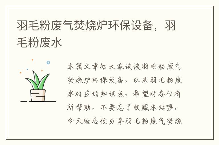 羽毛粉廢氣焚燒爐環(huán)保設(shè)備，羽毛粉廢水