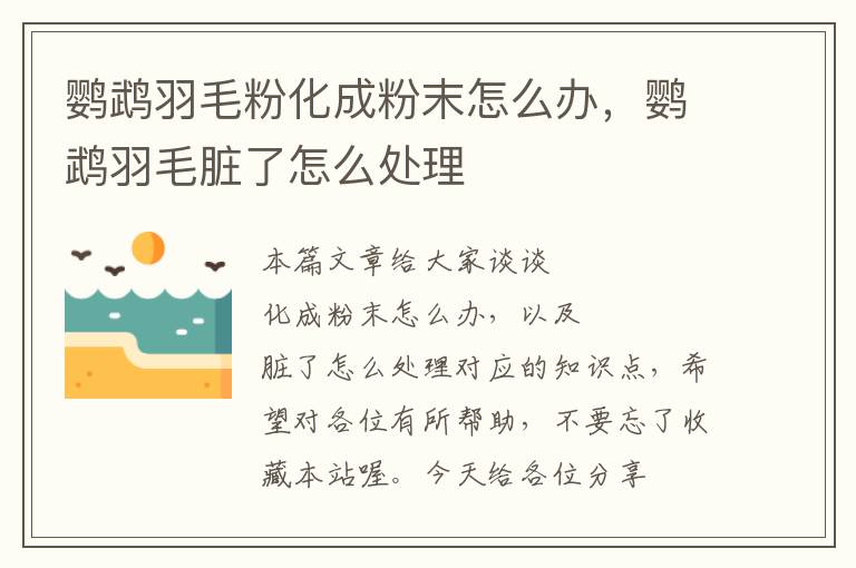 鸚鵡羽毛粉化成粉末怎么辦，鸚鵡羽毛臟了怎么處理