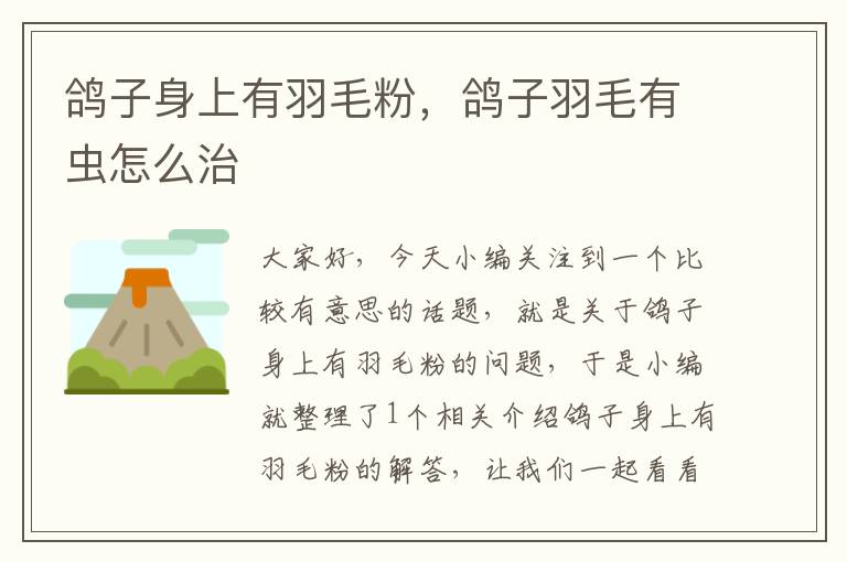 鴿子身上有羽毛粉,鴿子羽毛有蟲怎么治