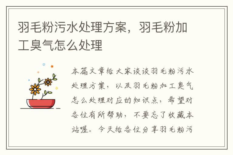 羽毛粉污水處理方案，羽毛粉加工臭氣怎么處理