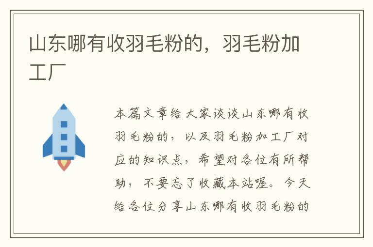山東哪有收羽毛粉的，羽毛粉加工廠