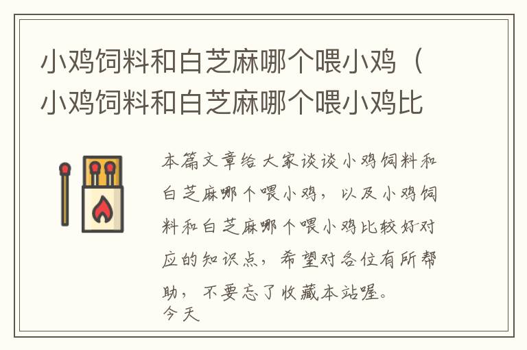 小雞飼料和白芝麻哪個(gè)喂小雞（小雞飼料和白芝麻哪個(gè)喂小雞比較好）