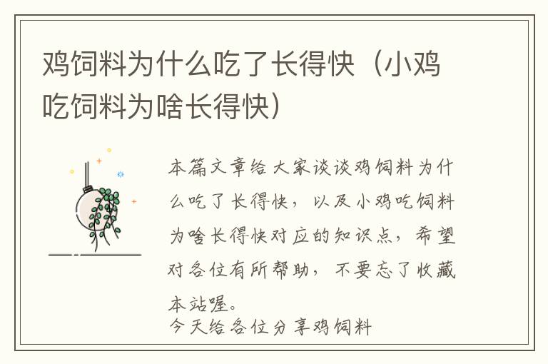 雞飼料為什么吃了長得快(小雞吃飼料為啥長得快)