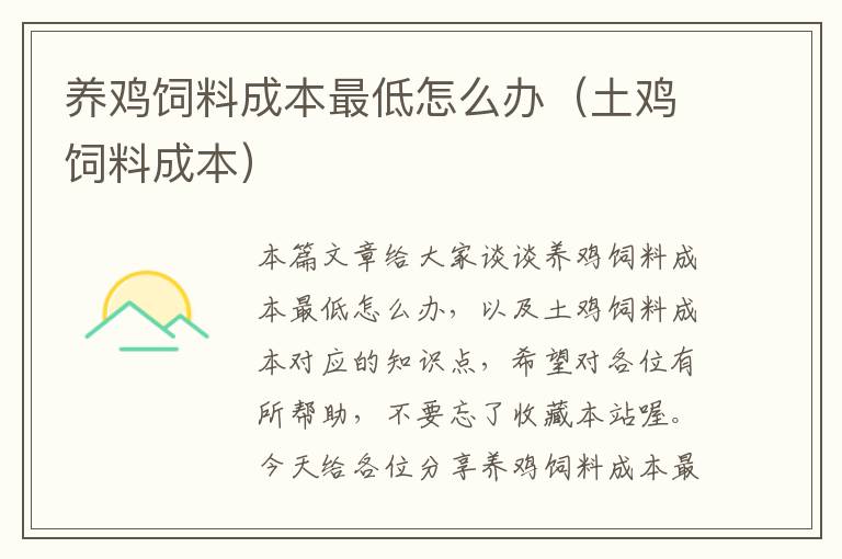 養(yǎng)雞飼料成本最低怎么辦(土雞飼料成本)