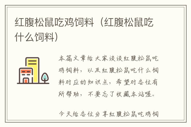 紅腹松鼠吃雞飼料(紅腹松鼠吃什么飼料)
