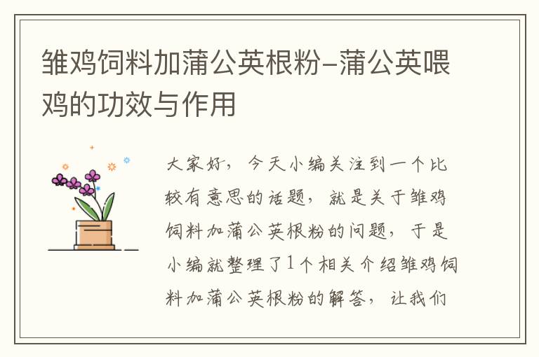 雛雞飼料加蒲公英根粉-蒲公英喂雞的功效與作用