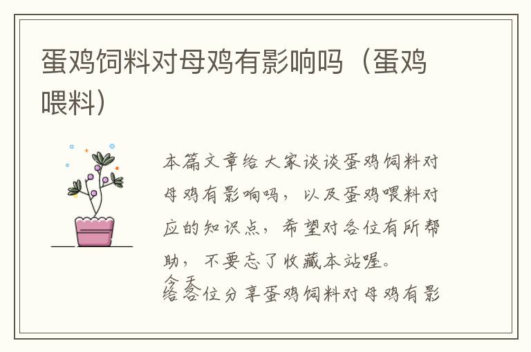 蛋雞飼料對母雞有影響嗎（蛋雞喂料）