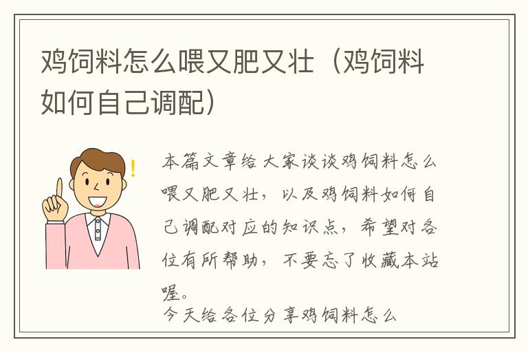 雞飼料怎么喂又肥又壯(雞飼料如何自己調(diào)配)