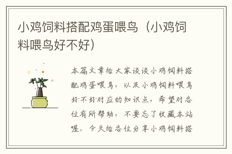 小雞飼料搭配雞蛋喂鳥(niǎo)(小雞飼料喂鳥(niǎo)好不好)