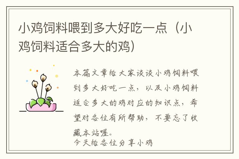 小雞飼料喂到多大好吃一點（小雞飼料適合多大的雞）