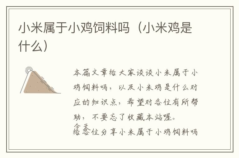 小米屬于小雞飼料嗎(小米雞是什么)