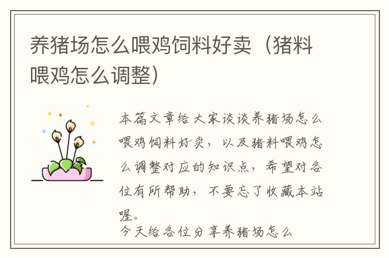 養(yǎng)豬場怎么喂雞飼料好賣（豬料喂雞怎么調(diào)整）