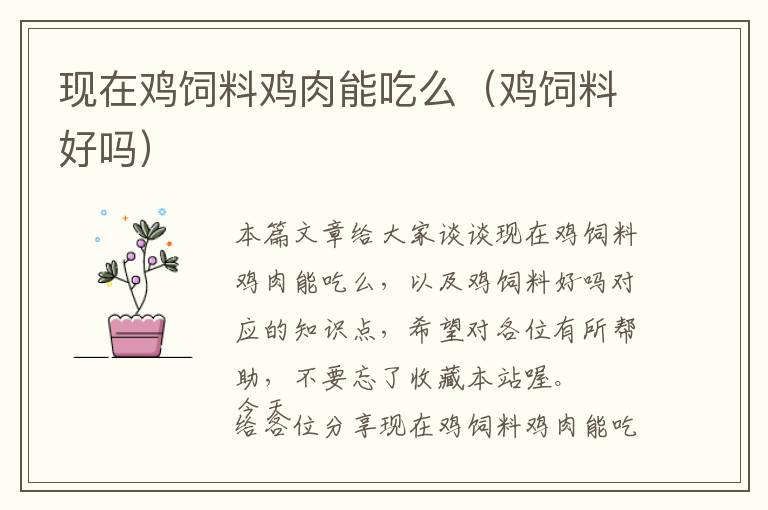現(xiàn)在雞飼料雞肉能吃么（雞飼料好嗎）